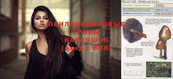 a pvp Алексин