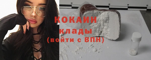 соль ск Алзамай
