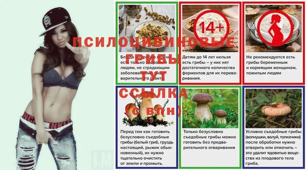 соль ск Алзамай