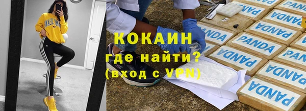 соль ск Алзамай