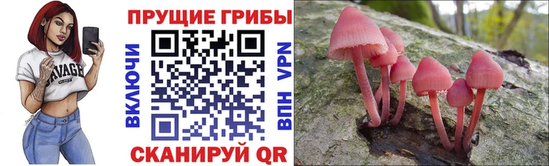 Псилоцибиновые грибы мухоморы  Лагань 